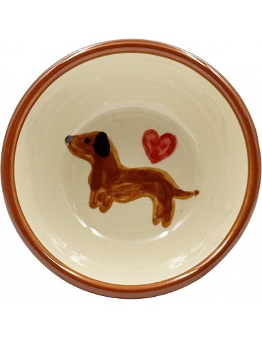 Bol Teckel - Dog life