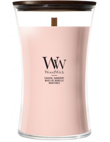 Bougie Fruits du rivage 610gr - WoodWick