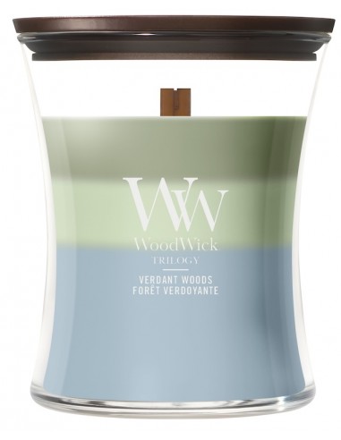 Bougie Trilogy Forêt verdoyante - 275 gr