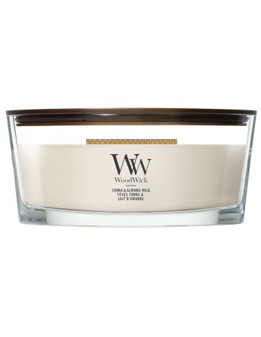 Bougie Fève de Tonka et lait d'amande - Ellipse