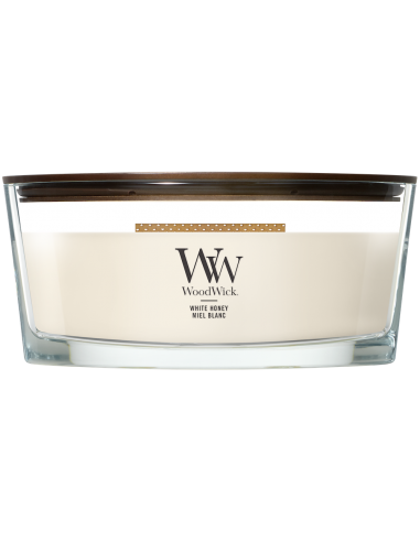 Bougie Miel blanc - Ellipse