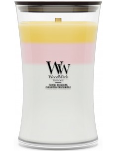 Bougie Trilogy Floraison...