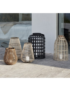 Lanterne Noire et Nature Medium 2